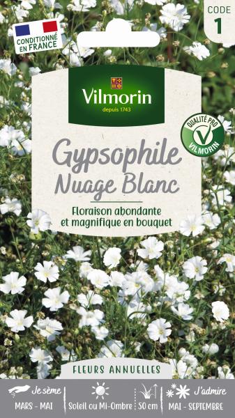 Fleurs - Gypsophile Nuage Blanc - PACKAGING_RECTO